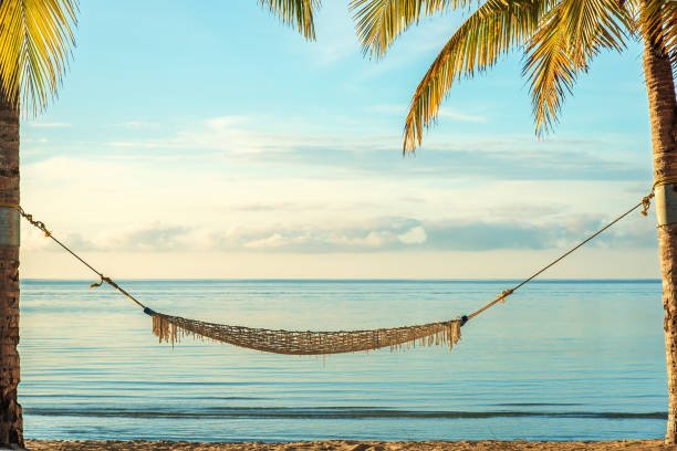 hammock-under-palm-trees-at-sunrise-beach